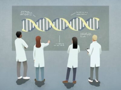 Genetics: Bitesize Learning