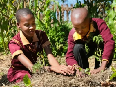 Agriculture Grade 5  Assessment