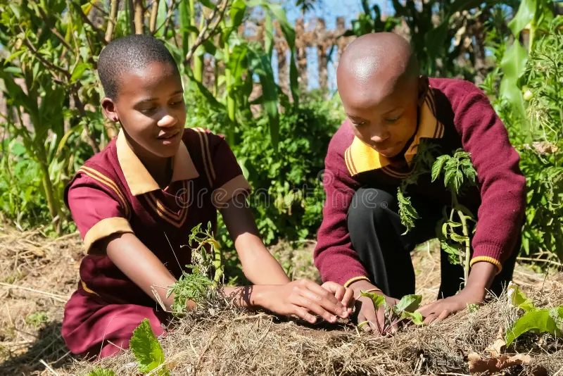 school-children-learning-agriculture-farming-johannesburg-south-africa-april-140228897